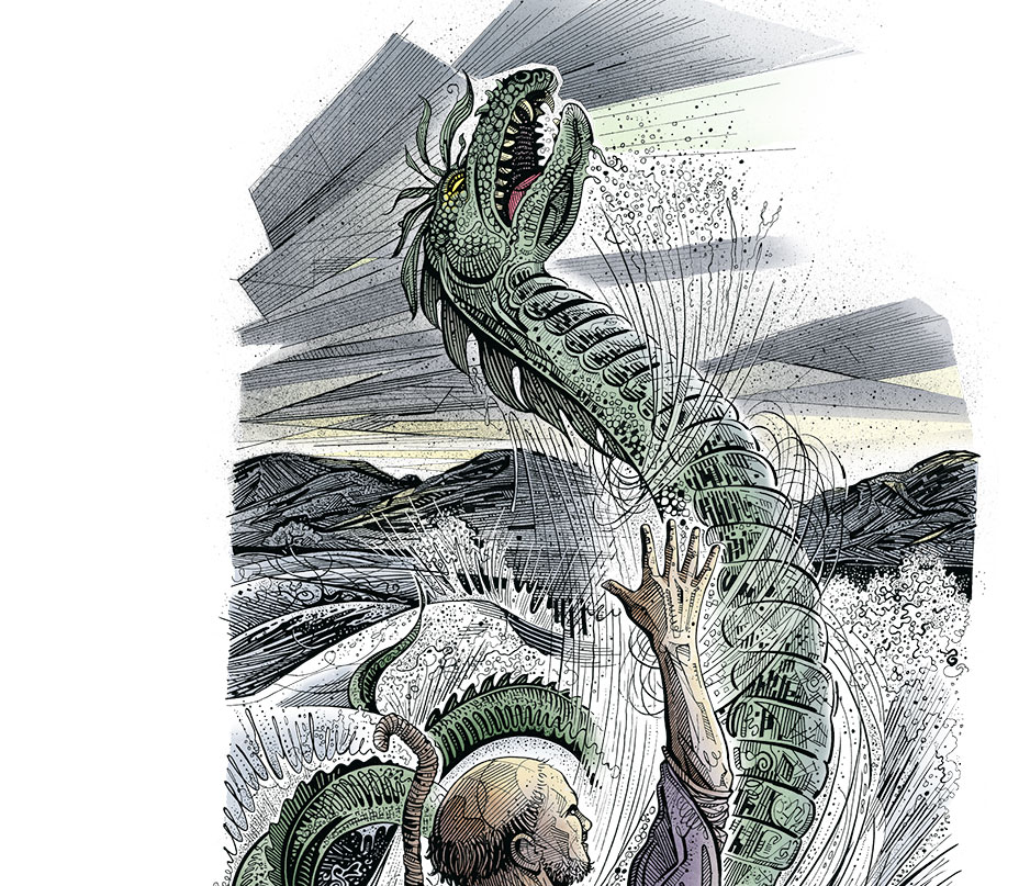 Conemarra illustration.