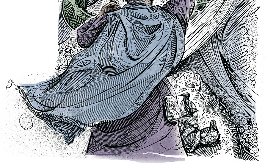 Conemarra illustration.