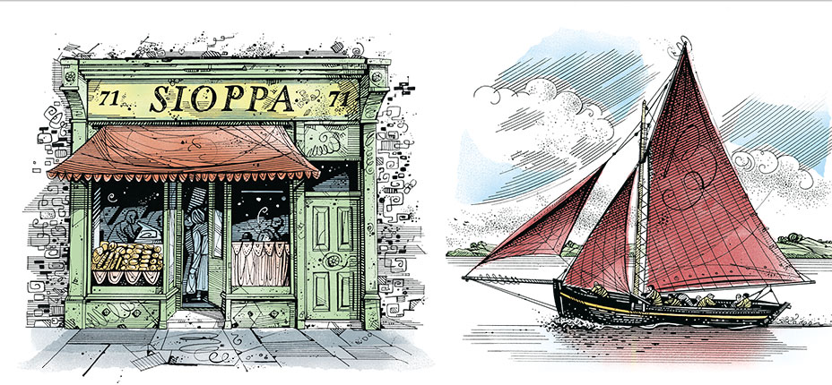 Conemarra illustration.