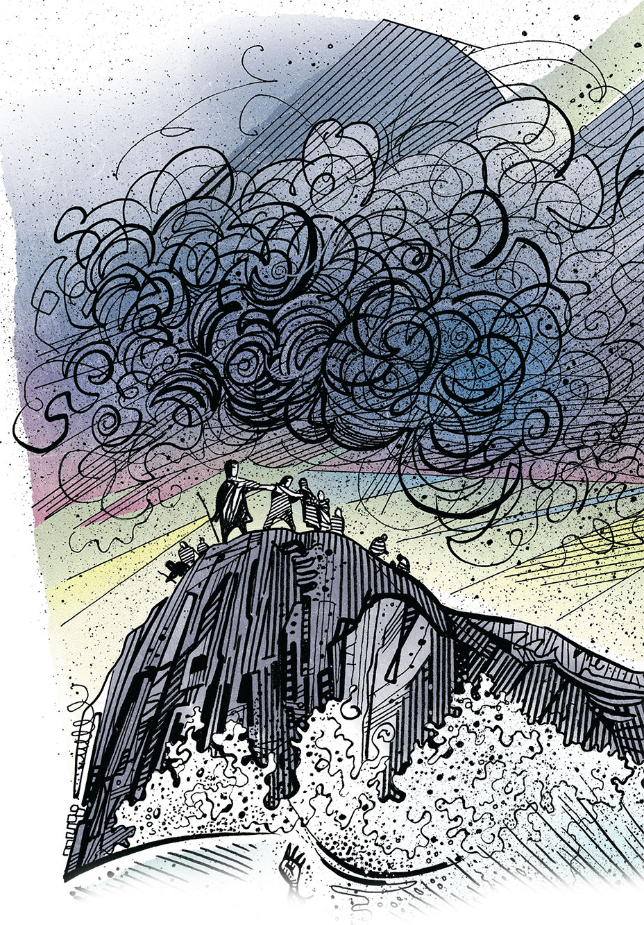 Conemarra illustration.