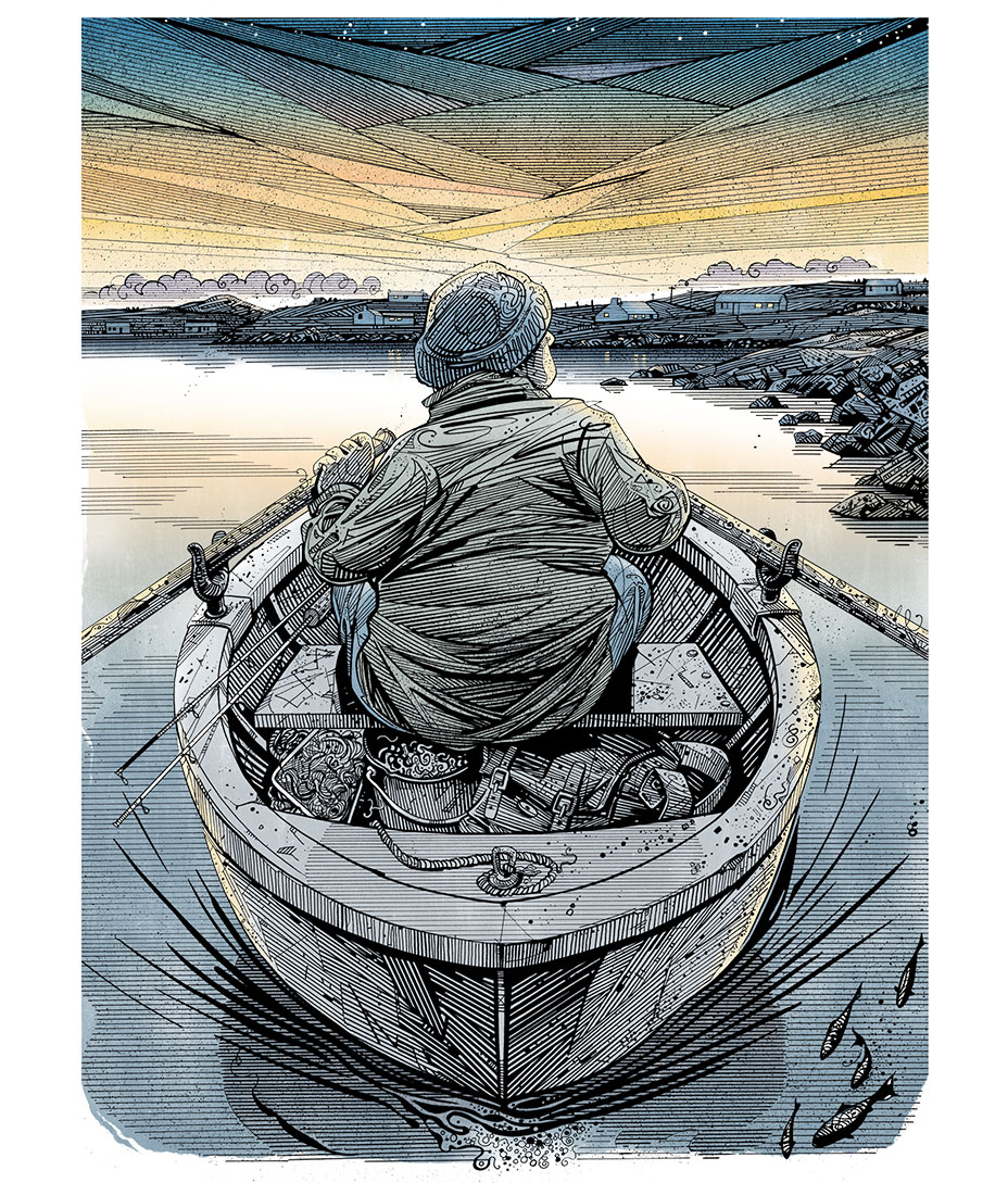 Conemarra illustration.