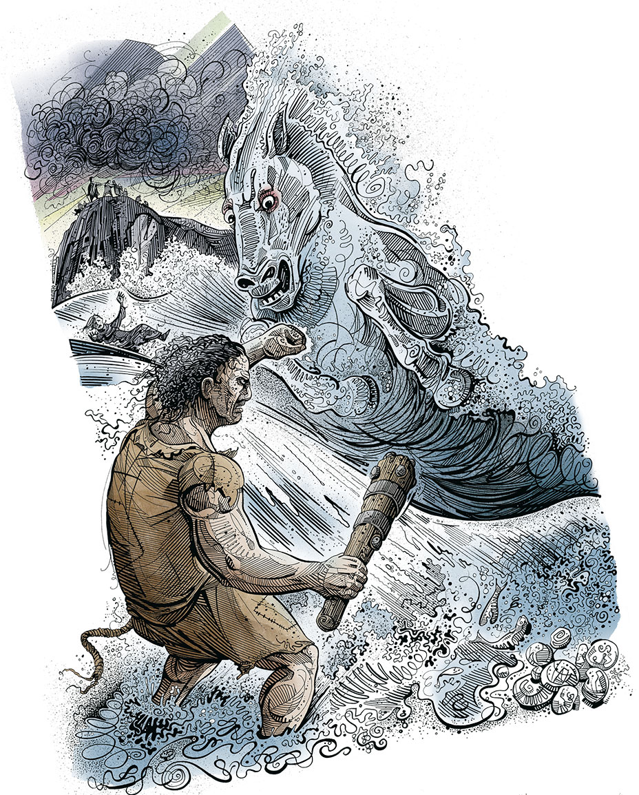 Conemarra illustration.