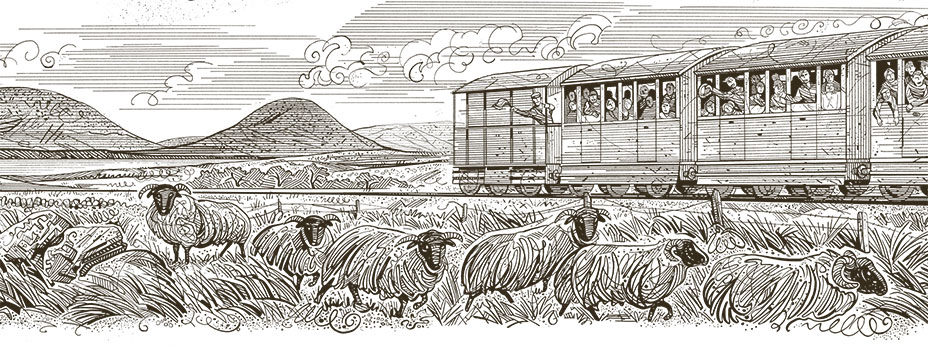 Conemarra illustration.